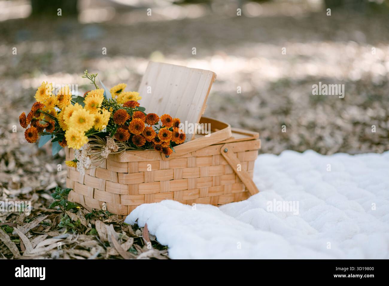 Fiori autunnali nel cestino da picnic intrecciato Foto Stock