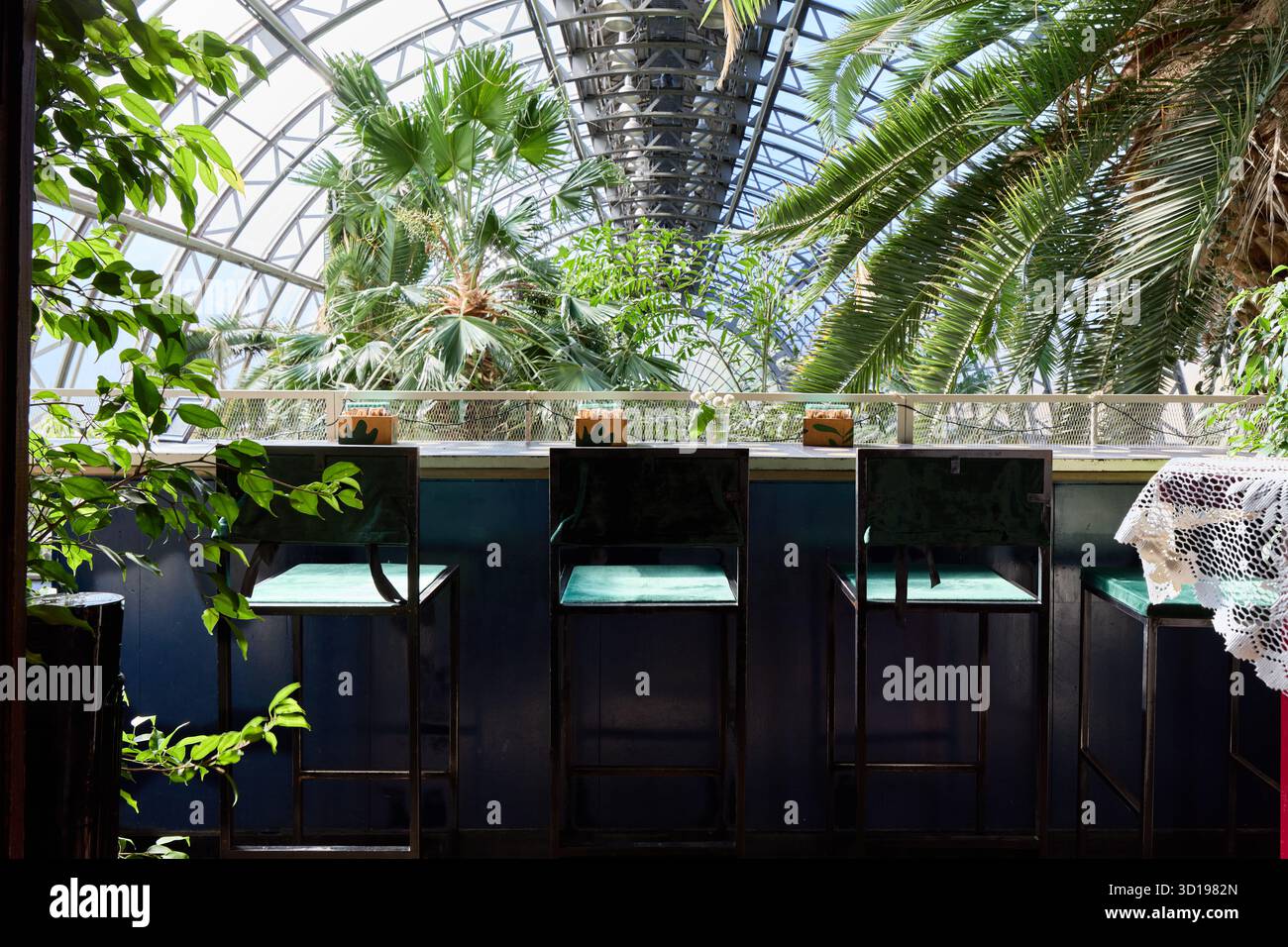Esclusivo bar con giardino interno con palme e luce naturale Foto Stock