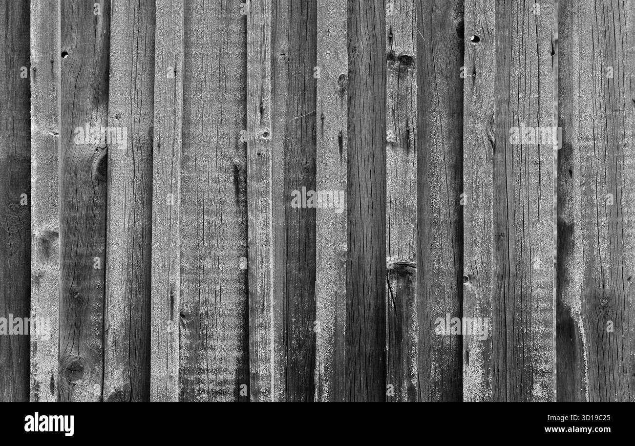 Vista ravvicinata delle tavole di legno grigio scuro che mostrano motivi, texture e dettagli naturali. Ideale per l'uso in sfondi, progetti di design o rusti Foto Stock