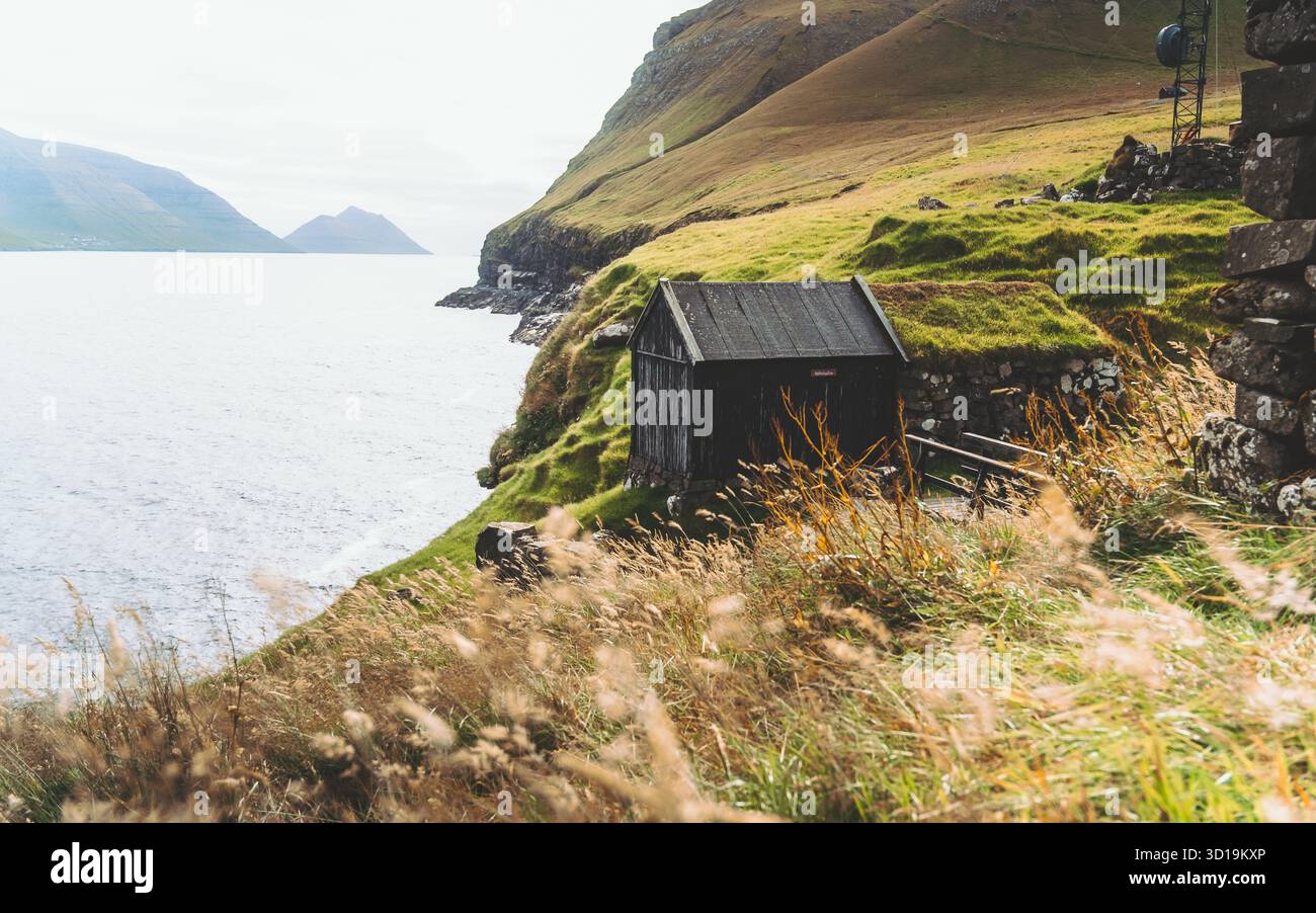 Vista di un solitario capannone di legno nero aggrappato ad una vivace scogliera verde che si affaccia sul tranquillo ed esteso oceano, incorniciato da ondeggianti erbe dorate, Mikladalur, Isole del Nord e Isole Faroe. Foto Stock