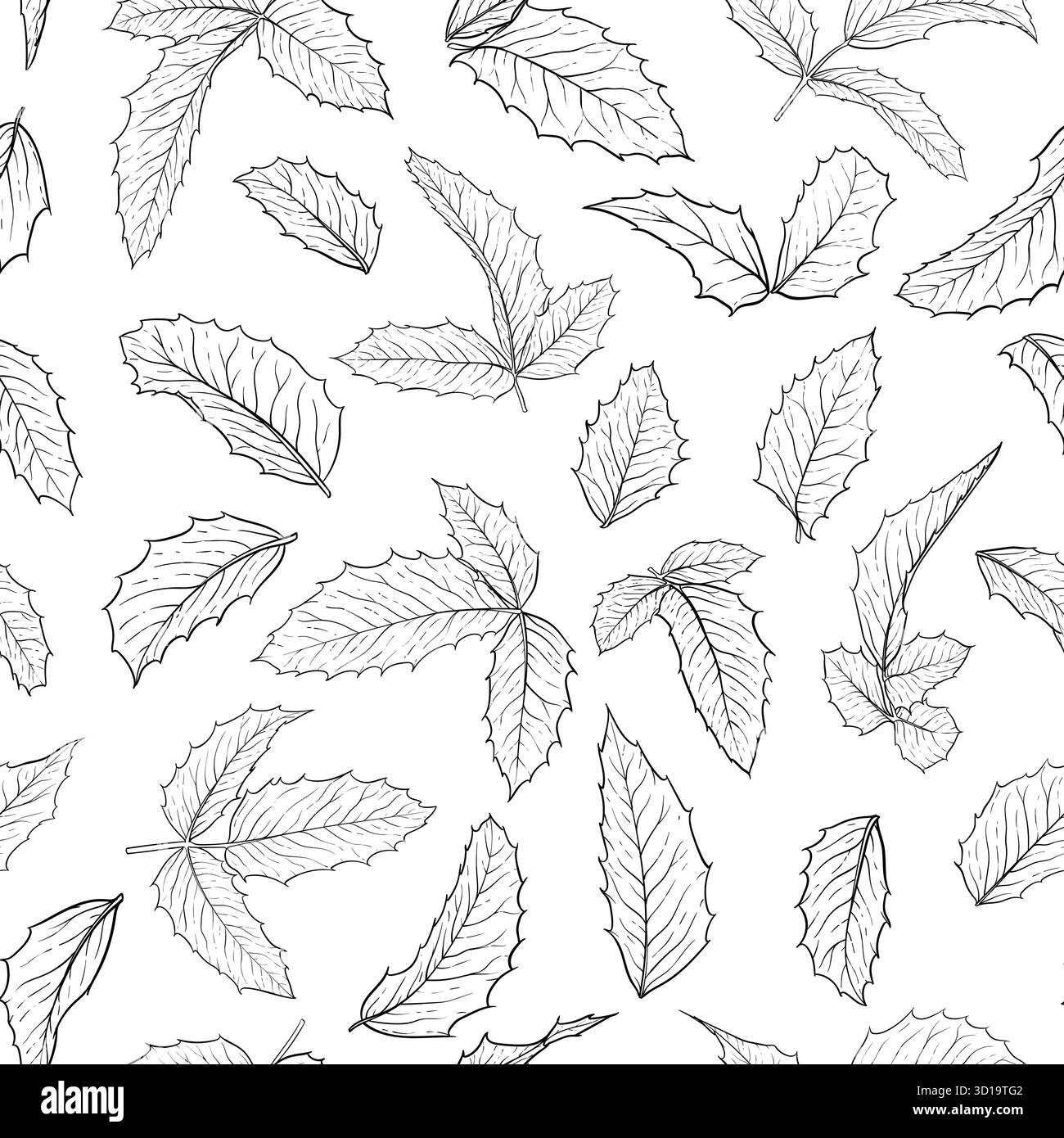 set di holly bianco e nero isolato, ramo ilex con foglie su sfondo bianco. Crea biglietti d'auguri per le feste e inviti a buon Natale Illustrazione Vettoriale