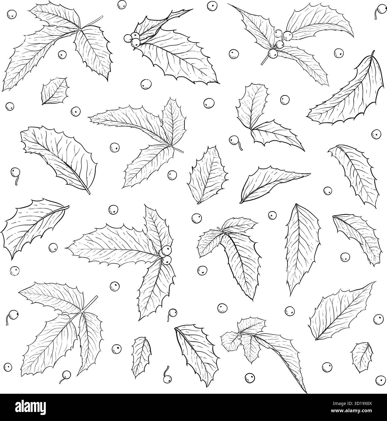 set di holly bianco e nero isolato, ramo ilex con foglie su sfondo bianco. Crea biglietti d'auguri per le feste e inviti a buon Natale Illustrazione Vettoriale