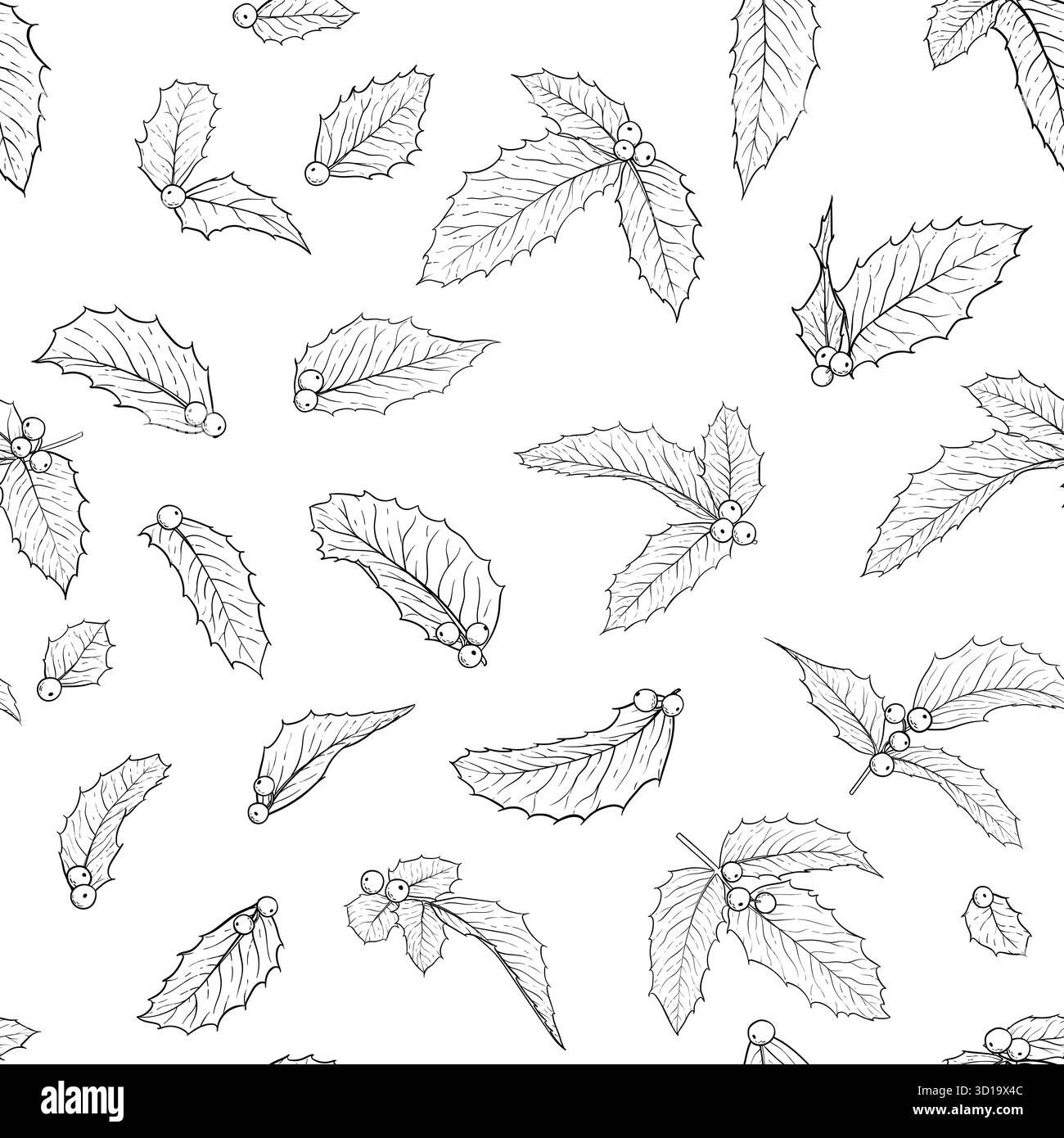 set di holly bianco e nero isolato, ramo ilex con foglie su sfondo bianco. Crea biglietti d'auguri per le feste e inviti a buon Natale Illustrazione Vettoriale