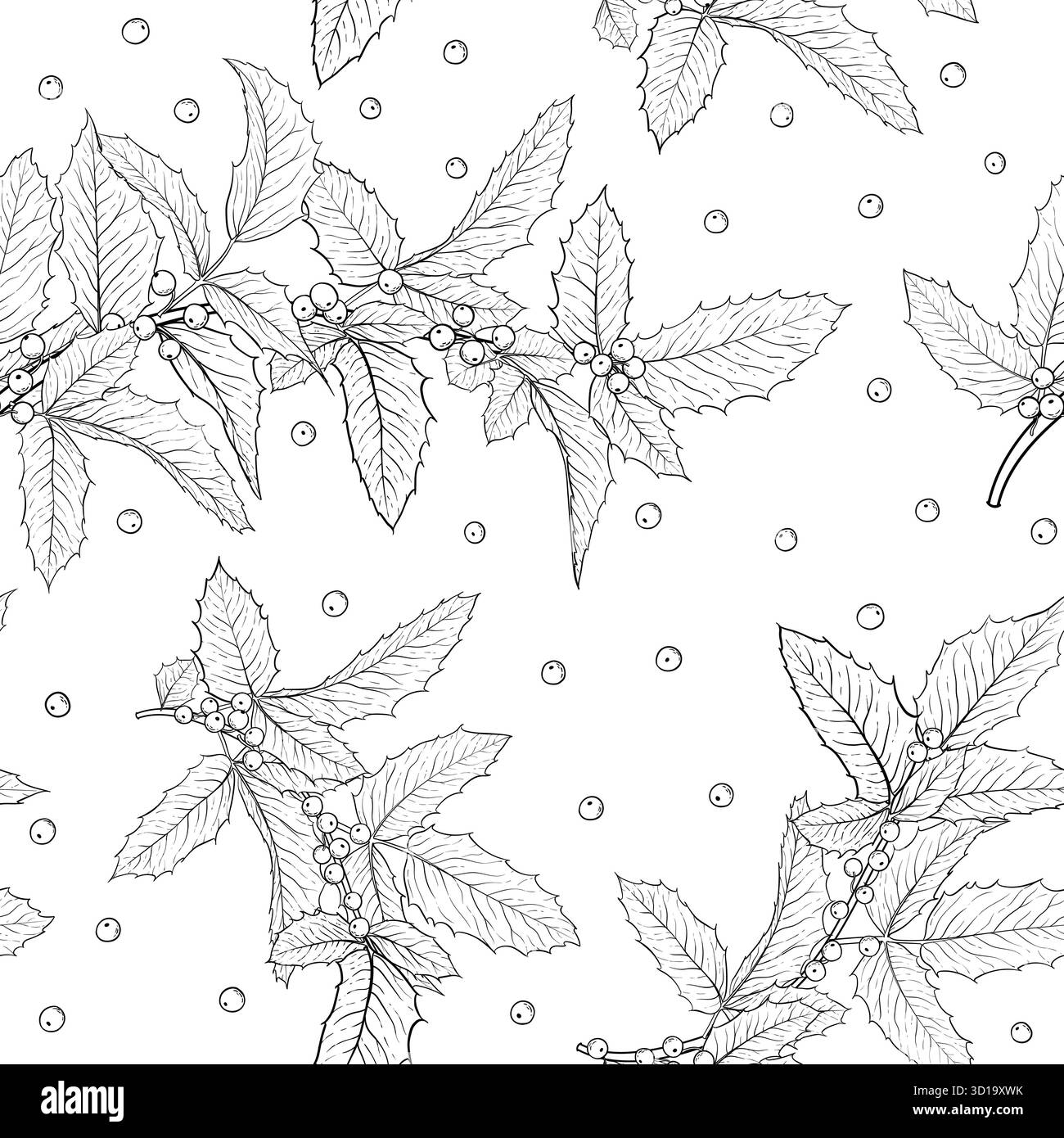 set di holly bianco e nero isolato, ramo ilex con foglie su sfondo bianco. Crea biglietti d'auguri per le feste e inviti a buon Natale Illustrazione Vettoriale