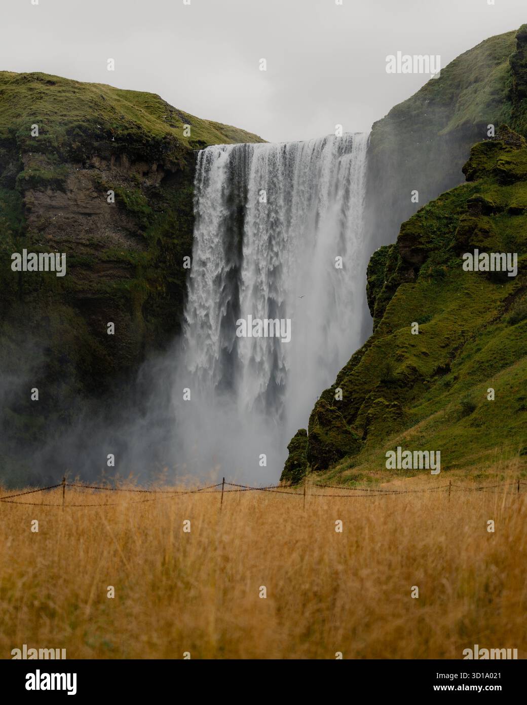 La vista della cascata di Skógafoss si tuffa drammaticamente tra lussureggianti colline verdi e campi dorati sotto un cielo nuvoloso, Skógafoss, Rangárþing eystra, Islanda. Foto Stock