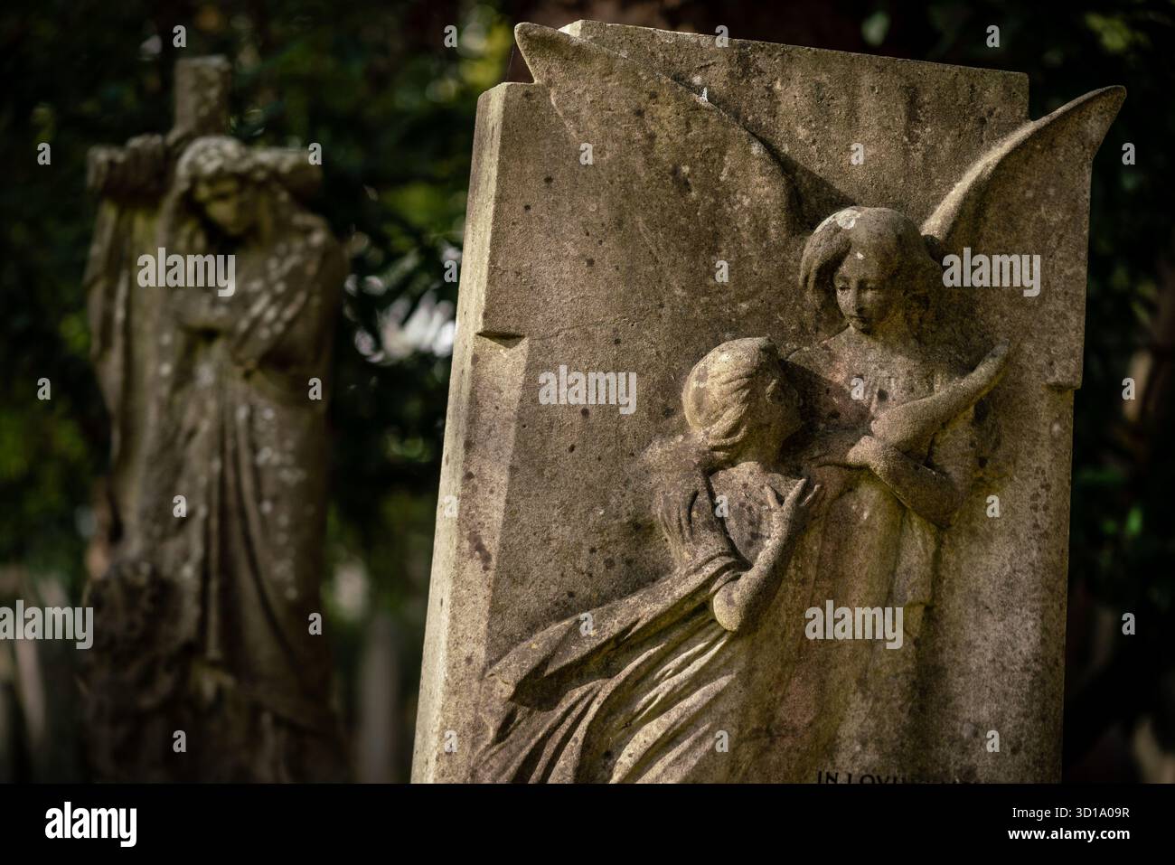 Londra, Regno Unito. 26 ottobre 2025. Meteo nel Regno Unito: Luce autunnale nel cimitero di Highgate. Notevole sia per alcune delle persone sepolte lì, sia per il suo status di riserva naturale, il cimitero nella sua forma originale è stato aperto nel 1839, come parte di un piano per fornire sette grandi cimiteri moderni. Conosciuta come uno dei "magnifici sette", Highgate è attualmente classificata di grado i nel registro inglese dei parchi e dei giardini di particolare interesse storico in Inghilterra. Crediti: Guy Corbishley/Alamy Live News Foto Stock