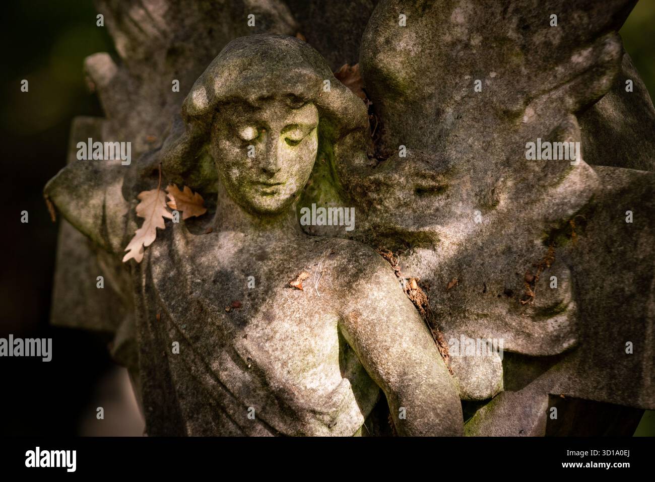 Londra, Regno Unito. 26 ottobre 2025. Meteo nel Regno Unito: Luce autunnale nel cimitero di Highgate. Notevole sia per alcune delle persone sepolte lì, sia per il suo status di riserva naturale, il cimitero nella sua forma originale è stato aperto nel 1839, come parte di un piano per fornire sette grandi cimiteri moderni. Conosciuta come uno dei "magnifici sette", Highgate è attualmente classificata di grado i nel registro inglese dei parchi e dei giardini di particolare interesse storico in Inghilterra. Crediti: Guy Corbishley/Alamy Live News Foto Stock