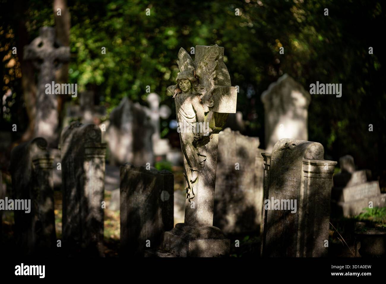 Londra, Regno Unito. 26 ottobre 2025. Meteo nel Regno Unito: Luce autunnale nel cimitero di Highgate. Notevole sia per alcune delle persone sepolte lì, sia per il suo status di riserva naturale, il cimitero nella sua forma originale è stato aperto nel 1839, come parte di un piano per fornire sette grandi cimiteri moderni. Conosciuta come uno dei "magnifici sette", Highgate è attualmente classificata di grado i nel registro inglese dei parchi e dei giardini di particolare interesse storico in Inghilterra. Crediti: Guy Corbishley/Alamy Live News Foto Stock