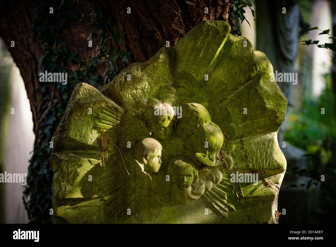 Londra, Regno Unito. 26 ottobre 2025. Meteo nel Regno Unito: Luce autunnale nel cimitero di Highgate. Notevole sia per alcune delle persone sepolte lì, sia per il suo status di riserva naturale, il cimitero nella sua forma originale è stato aperto nel 1839, come parte di un piano per fornire sette grandi cimiteri moderni. Conosciuta come uno dei "magnifici sette", Highgate è attualmente classificata di grado i nel registro inglese dei parchi e dei giardini di particolare interesse storico in Inghilterra. Crediti: Guy Corbishley/Alamy Live News Foto Stock