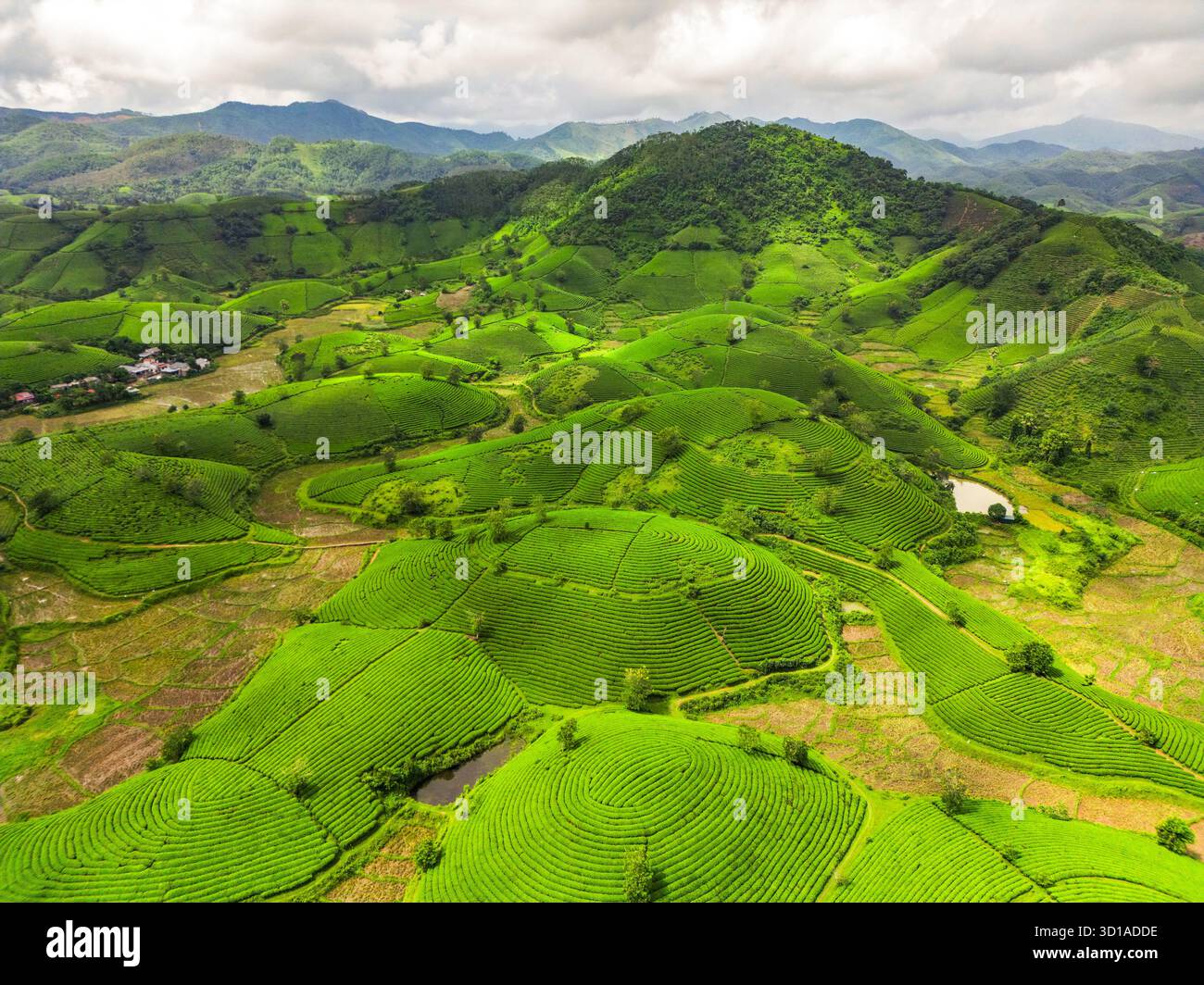 Vista aerea delle colline e delle valli verdi brillanti che creano uno splendido arazzo della bellezza della natura, Long Coc, Phú Thọ, Vietnam. Foto Stock