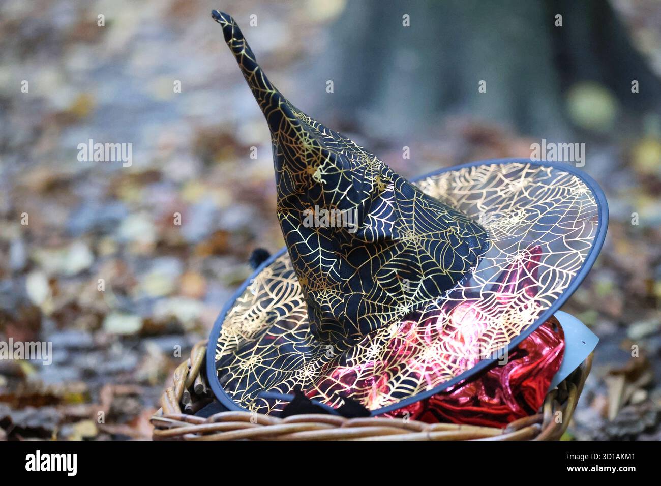 Cappello da strega di Halloween con Golden Spiderweb Design in Autunno Foto Stock