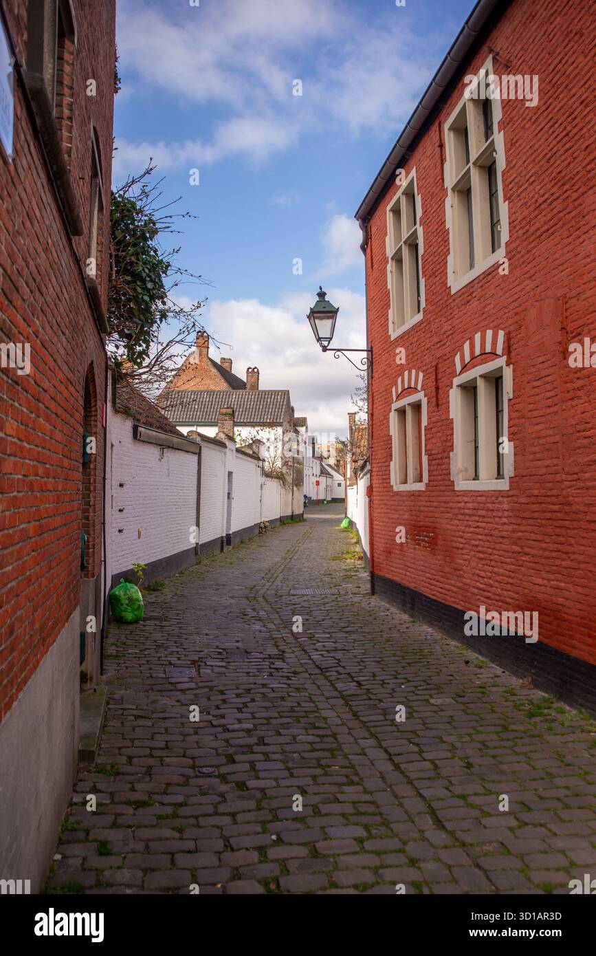 Uno stretto vicolo acciottolato a Gand, Belgio, fiancheggiato da case in mattoni rossi e bianchi, sacchetti verdi per la spazzatura a terra, vecchia lampada a lanterna e tetti vi Foto Stock