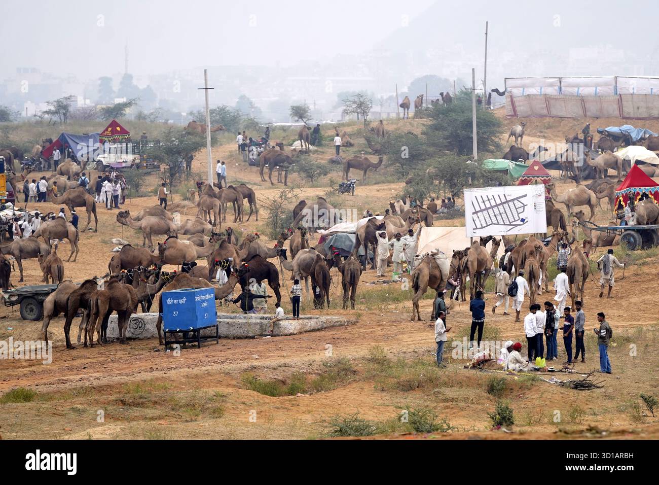 Pushkar nel Rajasthan, India. 27 ottobre 2025. Allevatori indiani di cammelli con il loro bestiame all'annuale fiera dei cammelli di Pushkar. L'evento annuale è una delle più grandi fiere di cammelli e bestiame al mondo. Himanshu Sharma/Alamy Live News Foto Stock