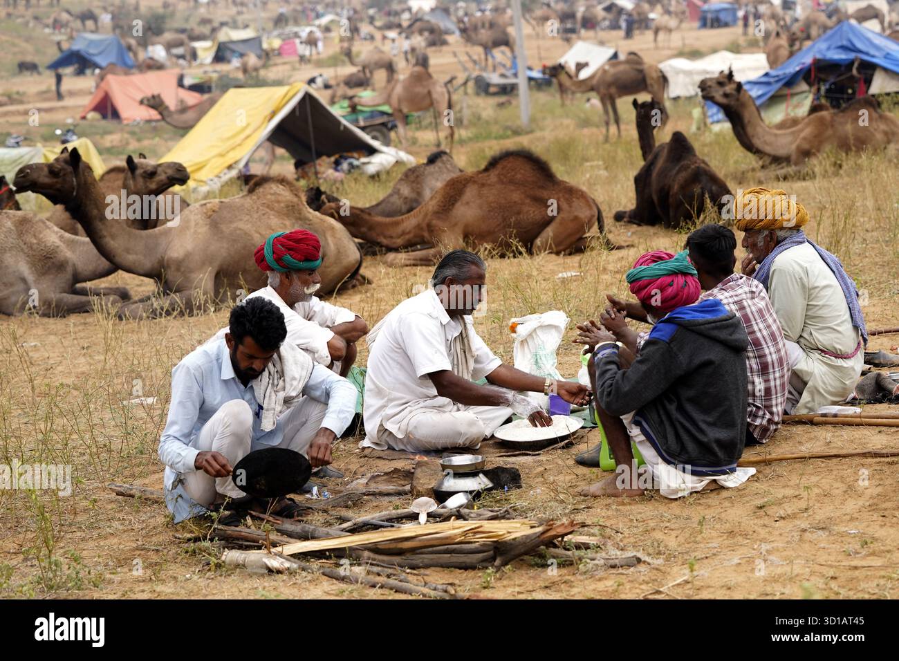 Pushkar nel Rajasthan, India. 27 ottobre 2025. Allevatori indiani di cammelli con il loro bestiame all'annuale fiera dei cammelli di Pushkar. L'evento annuale è una delle più grandi fiere di cammelli e bestiame al mondo. Himanshu Sharma/Alamy Live News Foto Stock