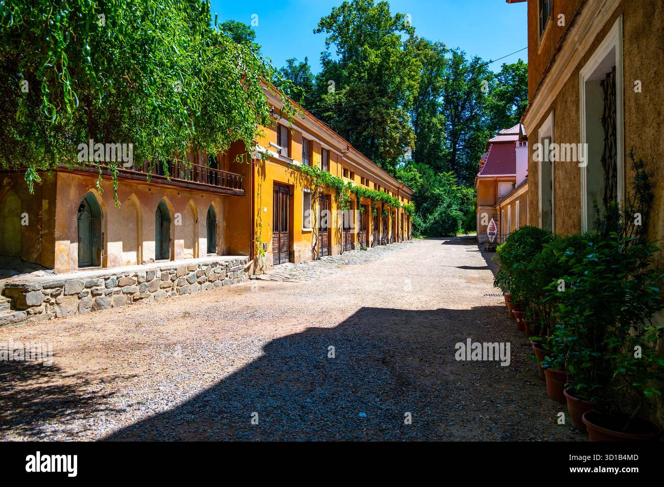 Vista panoramica del castello di Rajec Jestrebi in una soleggiata giornata estiva con cielo blu, rose rosa fiorenti e una fontana di fronte all'edificio storico. Foto Stock