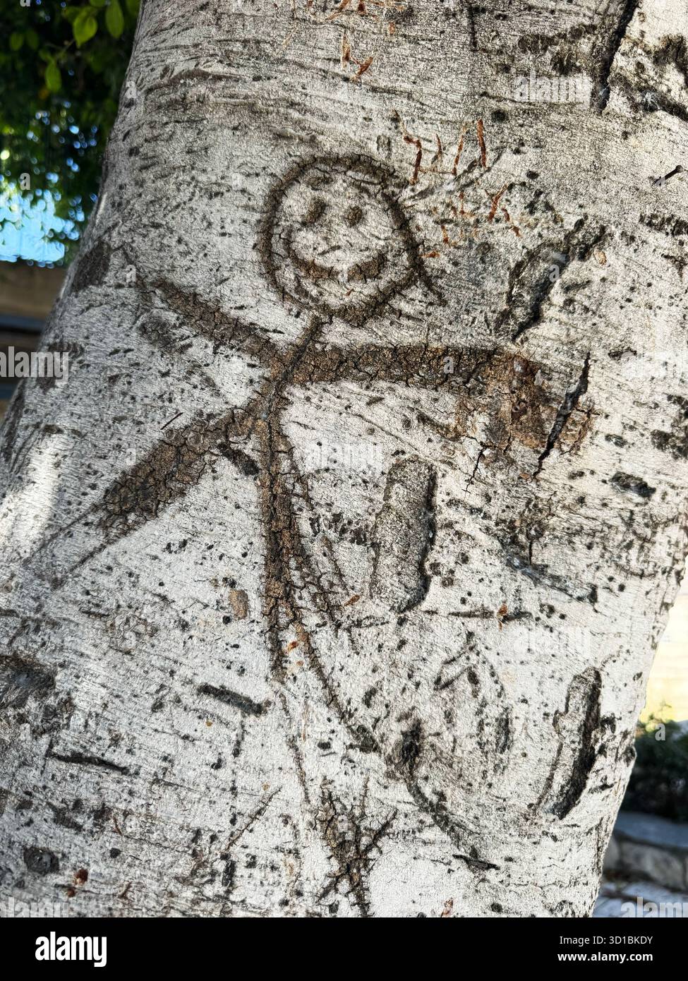 Un semplice bastoncino scolpito con una faccia sorridente è inciso sulla corteccia ruvida e di colore chiaro di un tronco di albero. Foto Stock