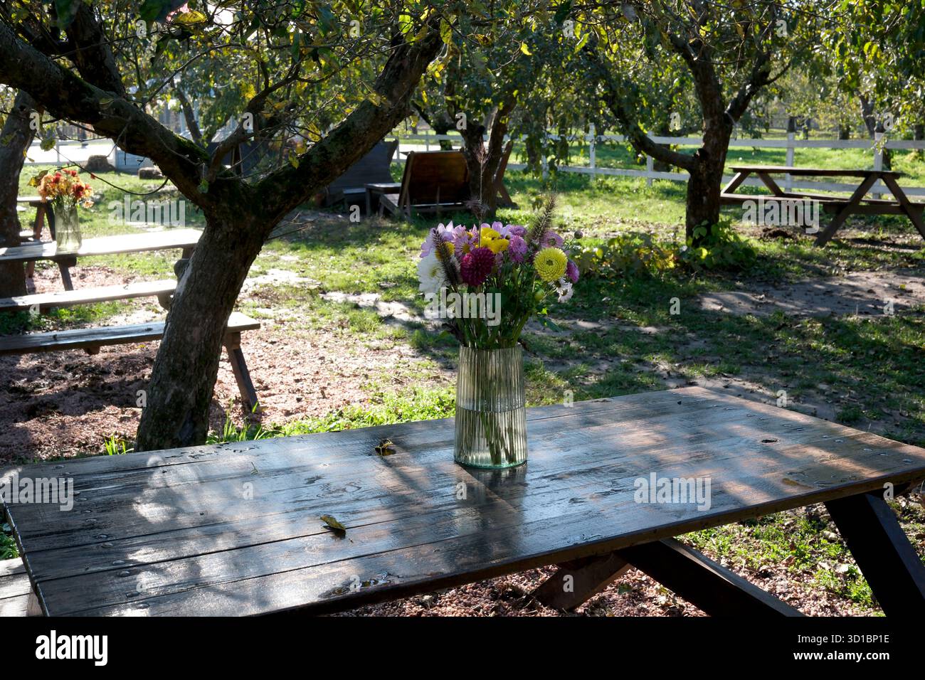 Un tavolo rustico in legno contiene un vaso colorato di fiori selvatici in un tranquillo giardino. Foto Stock