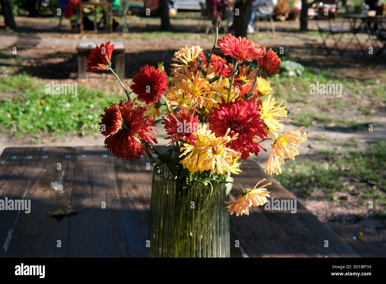 Un bouquet di fiori vibranti si trova elegantemente su un tavolo di legno in natura. Foto Stock
