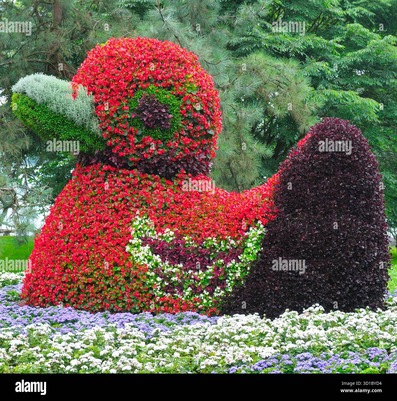 Questa vibrante e massiccia scultura floreale di un'anatra stilizzata è uno splendido esempio di orticoltura creativa e arte del giardino pubblico. Foto Stock