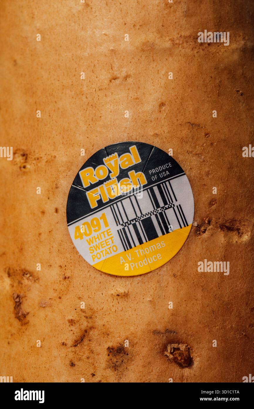adesivo con codice a barre upc su patata dolce bianca Foto Stock