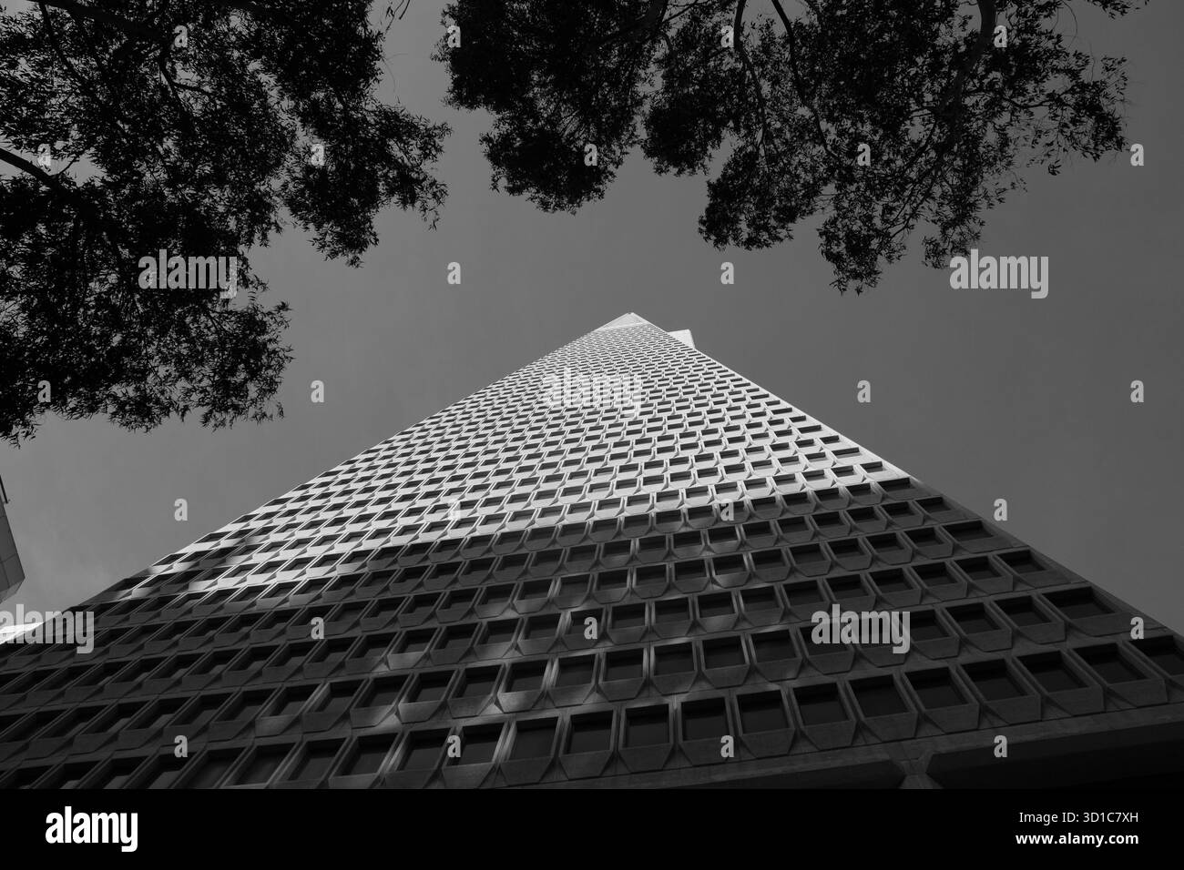 Grattacielo moderno in bianco e nero: Geometria architettonica, linee verticali e contrasto ombre luminose con alberi inquadranti Foto Stock