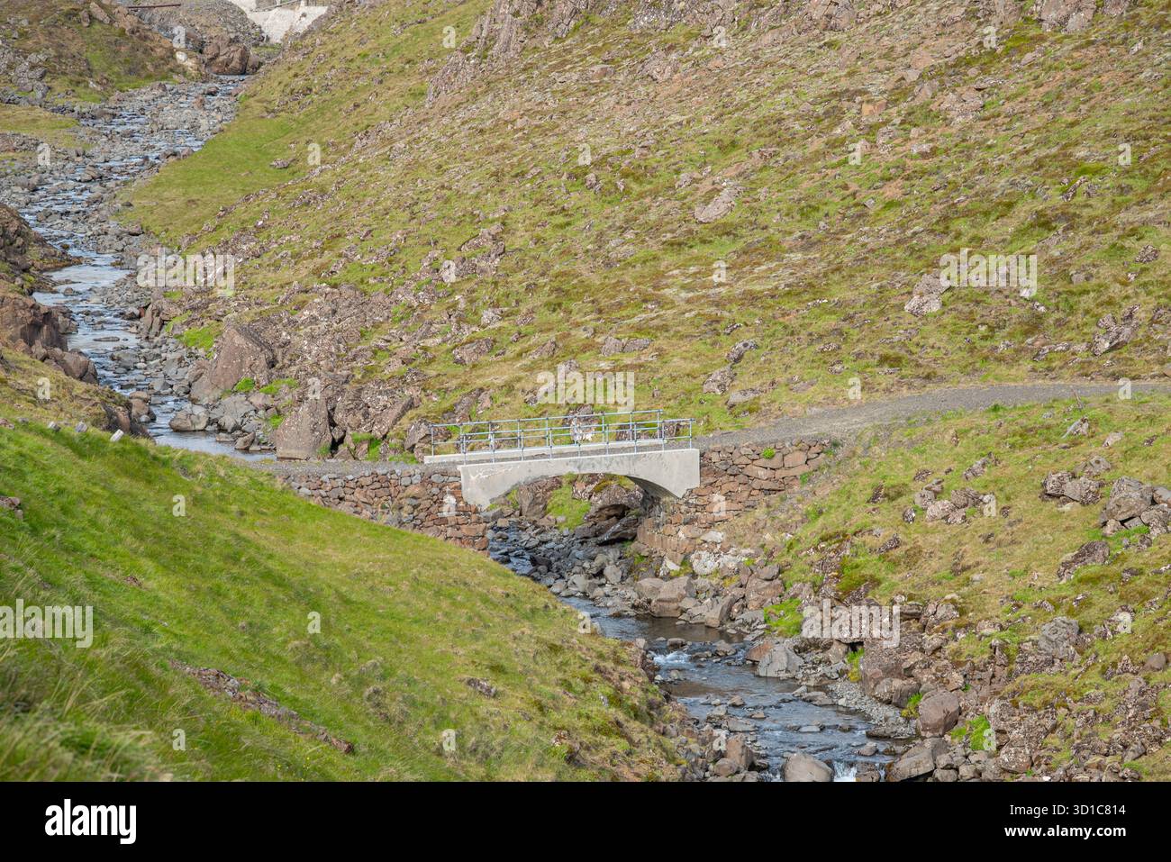 Vecchio ponte ristrutturato sul fiume Blaskeggsa a Hvalfjordur nell'Islanda occidentale Foto Stock