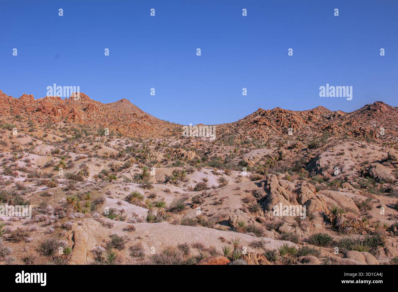 Colline rocciose del deserto con vegetazione secca e terreno accidentato sotto un cielo azzurro e limpido che mostra un paesaggio arido e un ambiente naturale selvaggio Foto Stock