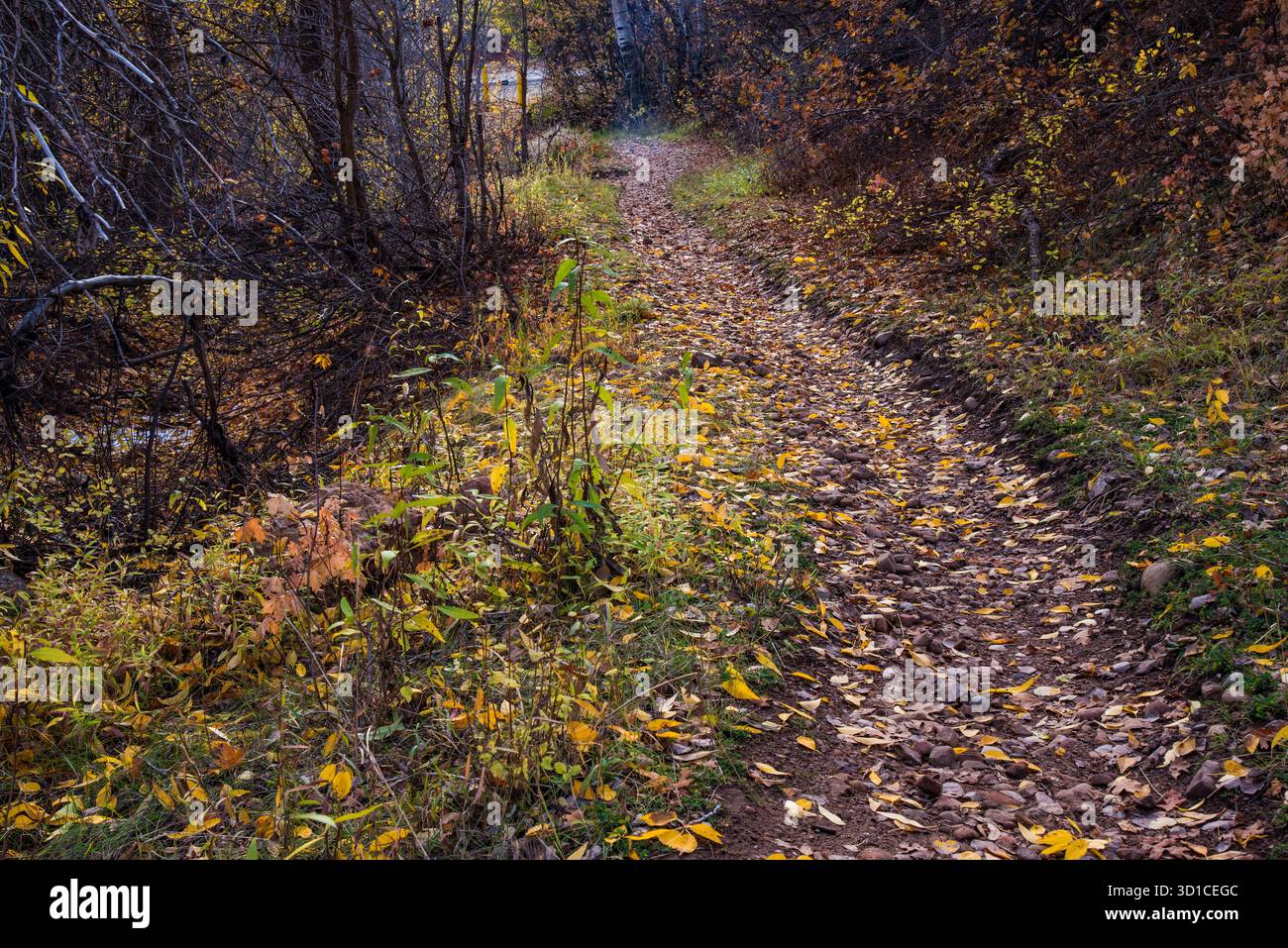 Original Mormon Trail a est di Salt Lake City nelle Wasatch Mountains. Questo percorso storico ha portato all'insediamento di Salt Lake City nell'anno 1847. Foto Stock