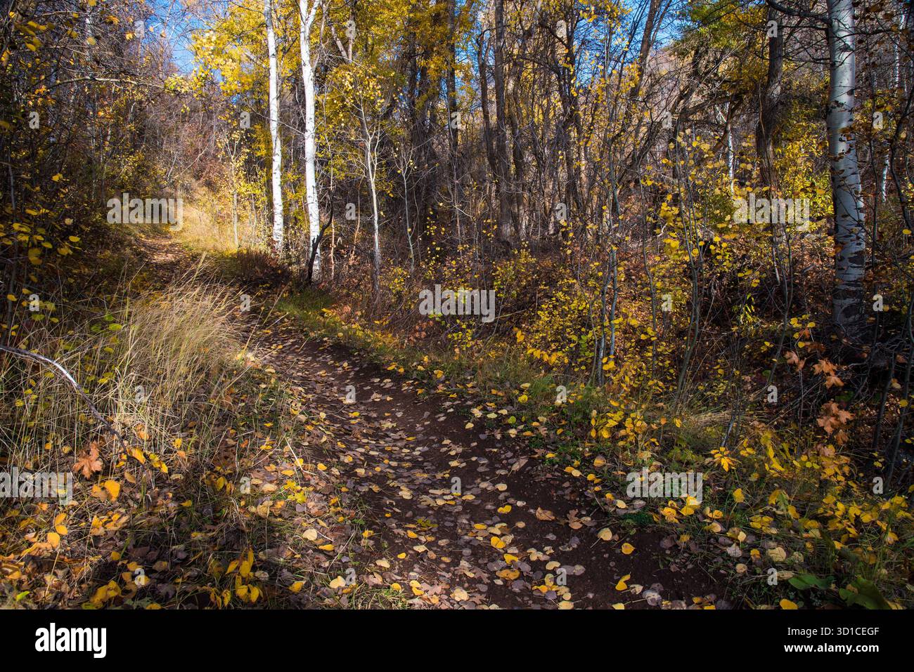 Original Mormon Trail a est di Salt Lake City nelle Wasatch Mountains. Questo percorso storico ha portato all'insediamento di Salt Lake City nell'anno 1847. Foto Stock