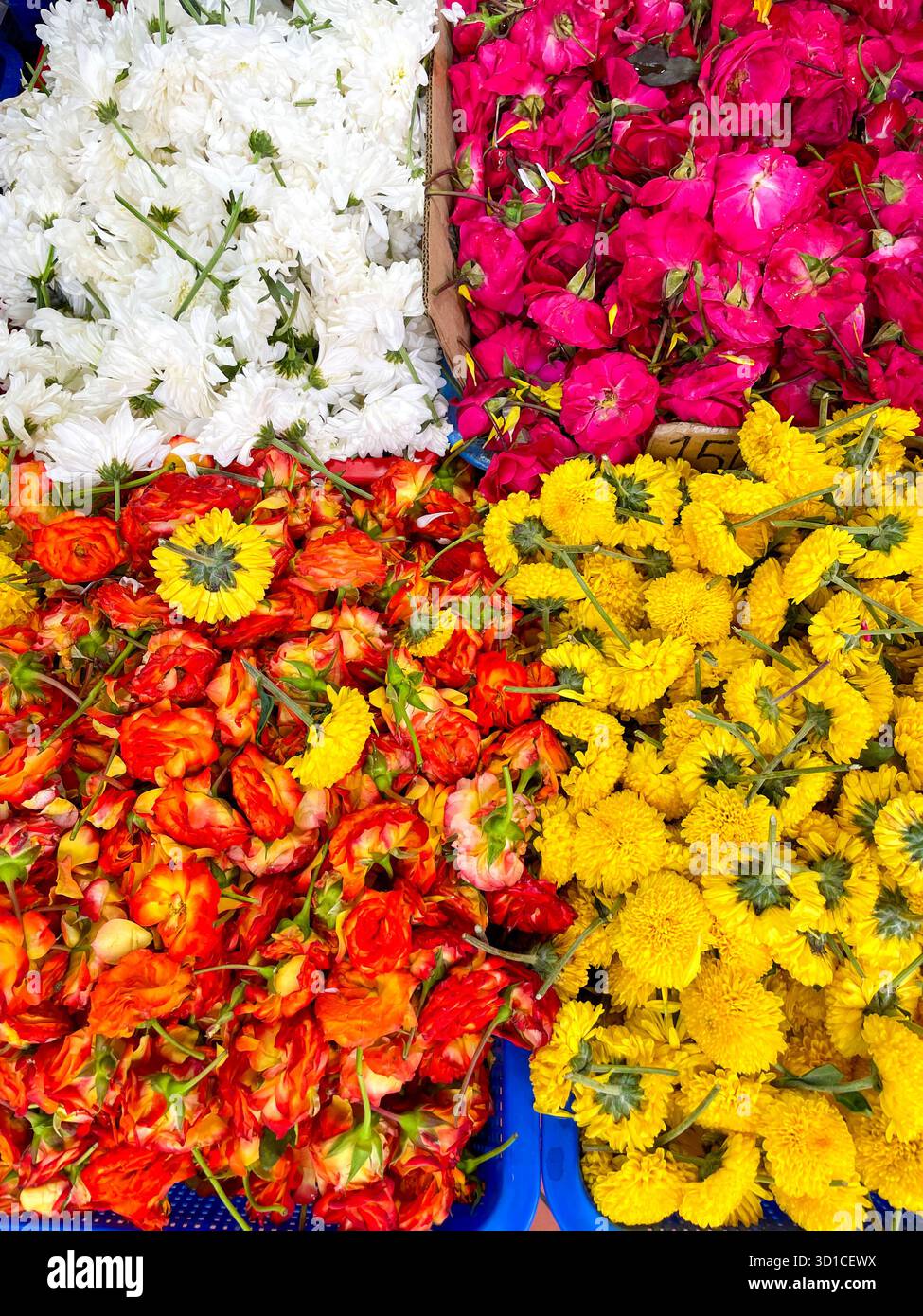 Vista dall'alto del variopinto assortimento di fiori freschi tagliati in varie tonalità vivaci, tra cui rosso, giallo, bianco e rosa disposti in cesti del mercato Foto Stock