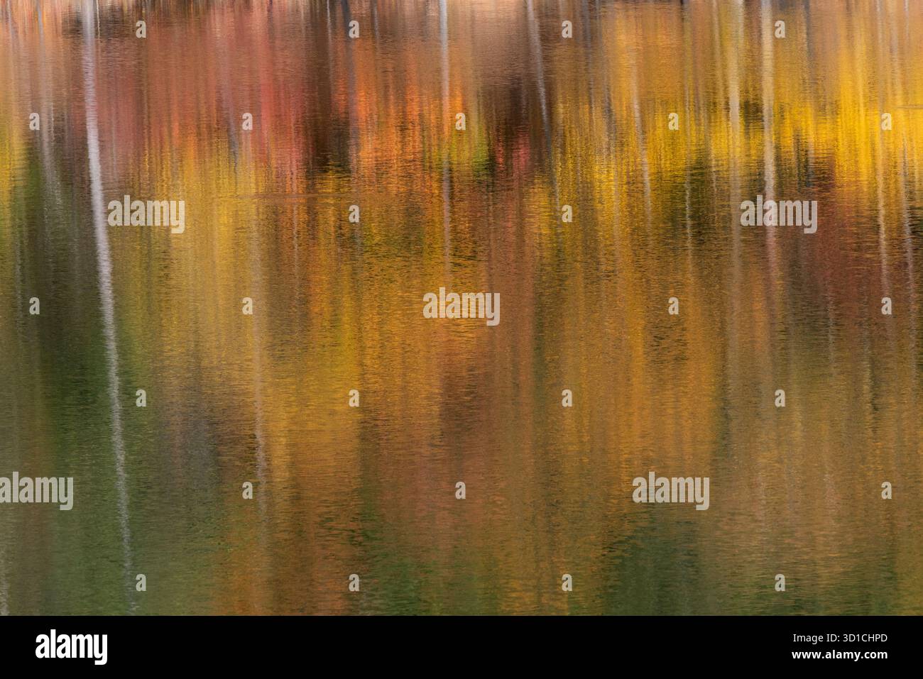 Riflessi cromatici autunnali, Loon Lake, nella parte settentrionale dello stato di New York Foto Stock