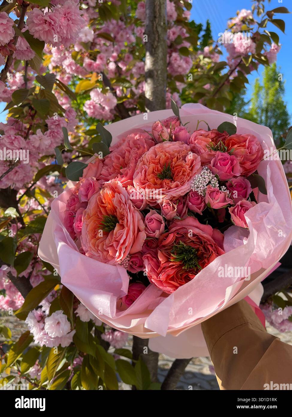Questa vivace immagine cattura un bellissimo bouquet su uno sfondo di fiori di ciliegio rosa, rendendolo perfetto per temi romantici, primaverili Foto Stock