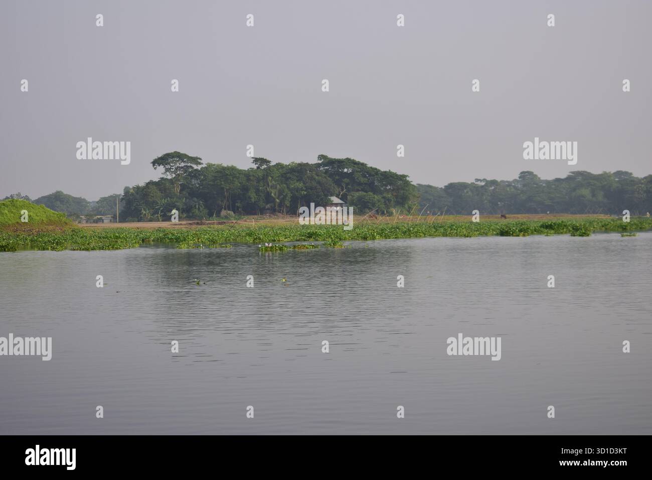 Fiume Dhanagoda, Chandpur - Serenissima via d'acqua che scorre attraverso il cuore del Bangladesh rurale Foto Stock