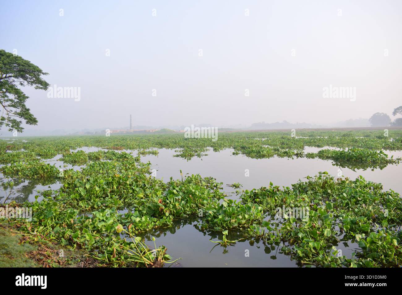 Fiume Dhanagoda, Chandpur - Serenissima via d'acqua che scorre attraverso il cuore del Bangladesh rurale Foto Stock
