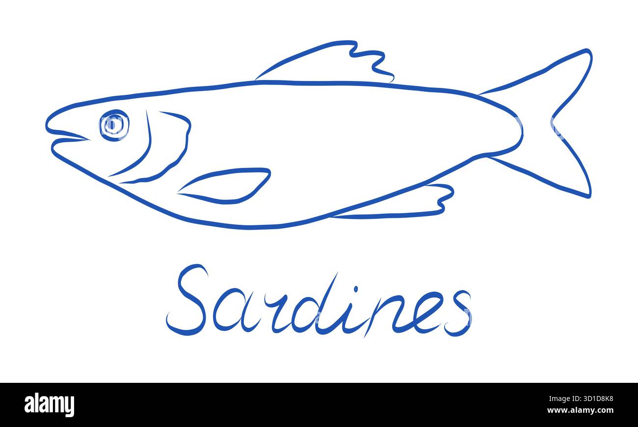 Illustrazione disegnata a mano di sardine che mostrano le loro caratteristiche e anatomia distinte Illustrazione Vettoriale