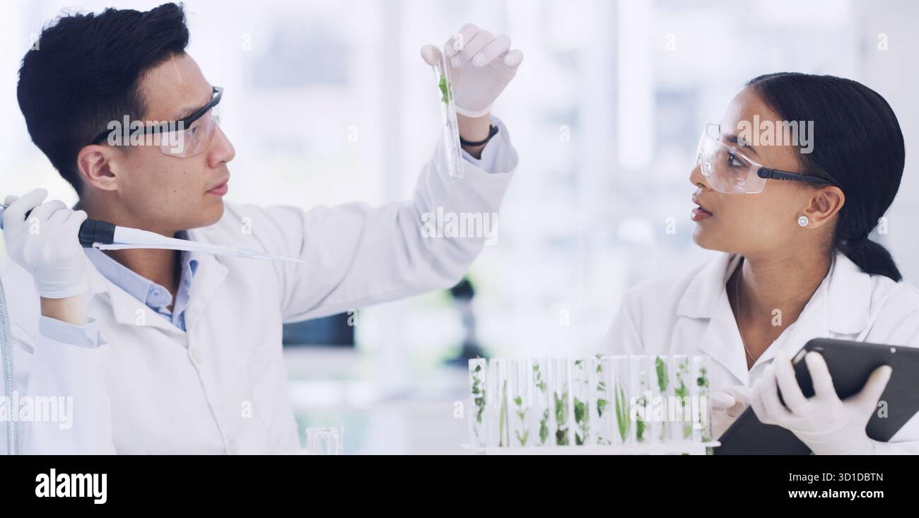 Team, scienziato o provetta per la ricerca di piante, sviluppo medico o esperimento ogm. Laboratorio scientifico, botanica o collaborazione di persone con pipette Foto Stock