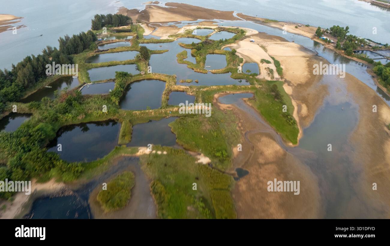 Vista aerea degli stagni di acquacoltura e del delta del fiume, Vietnam, zone umide, allevamenti ittici, canali tortuosi, banchi di sabbia e vegetazione lussureggiante Foto Stock