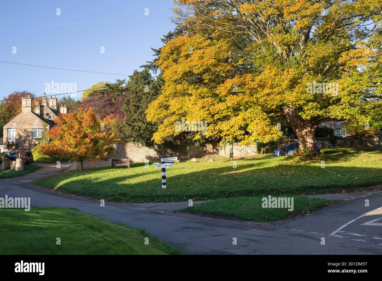 Acer saccharum. Acero da zucchero in autunno nel villaggio di Hinton-in-the-Hedges, Northamptonshire, Inghilterra Foto Stock