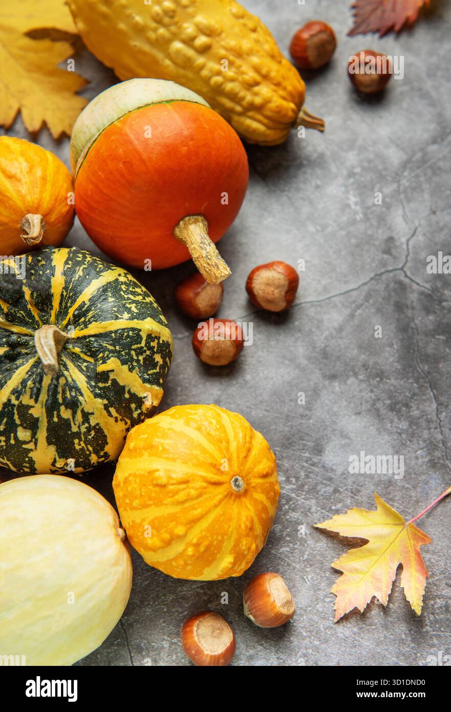 Zucche, buongustai, nocciole e foglie autunnali che creano una natura morta natalizia Foto Stock