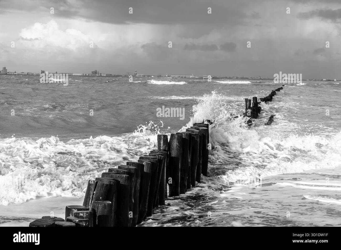 Seascape bianco e nero con onde che si infrangono e paletti in legno intemperie Foto Stock