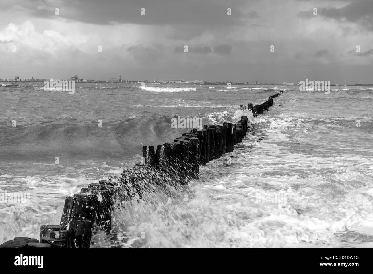 Seascape bianco e nero con onde che si infrangono e paletti in legno intemperie Foto Stock