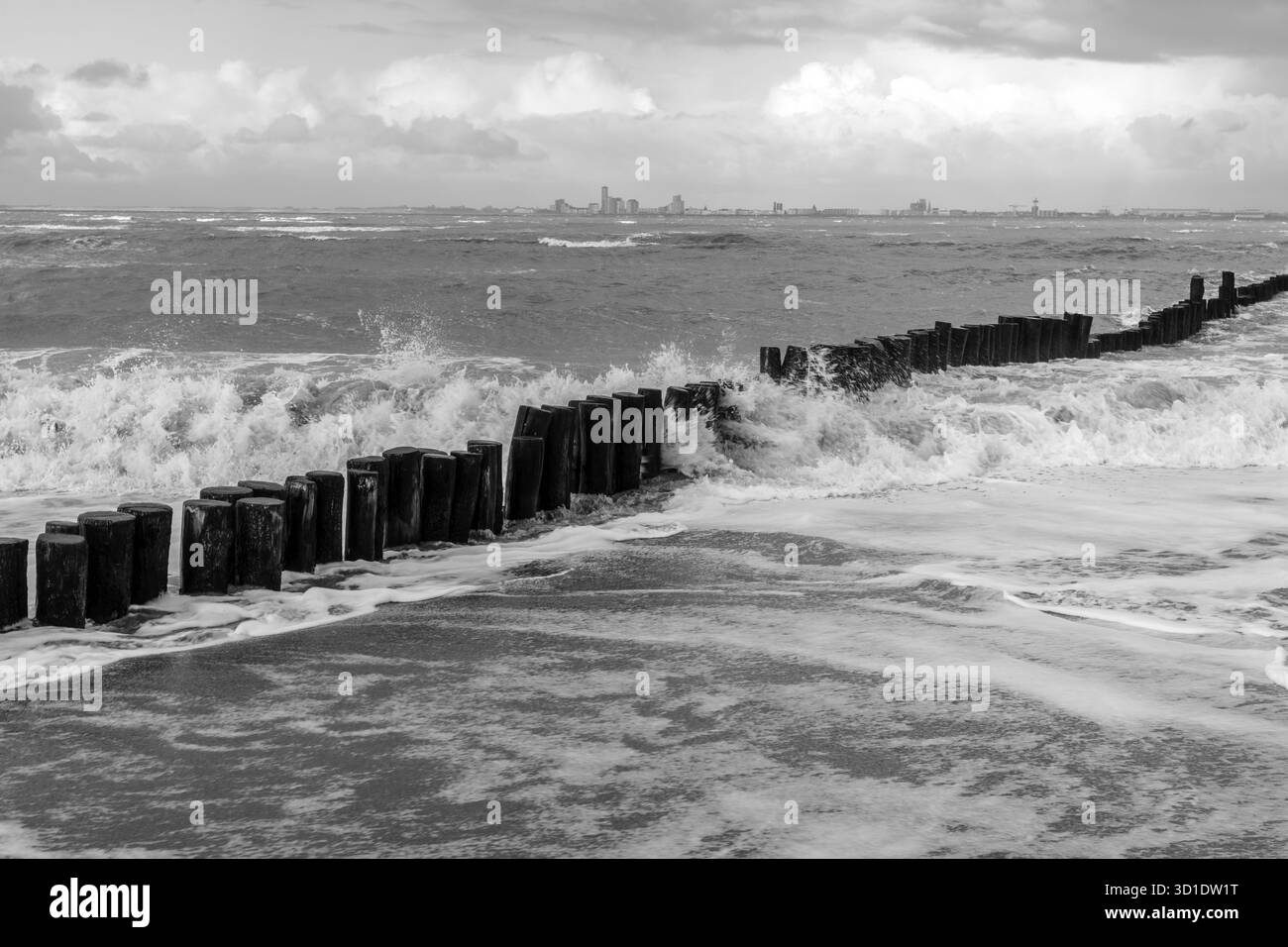 Seascape bianco e nero con onde che si infrangono e paletti in legno intemperie Foto Stock