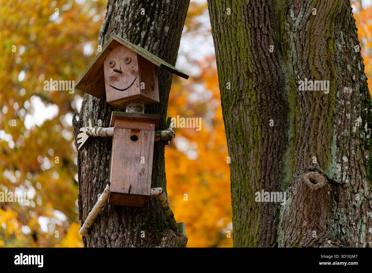Figura sorridente in legno per la casa degli uccelli attaccata ad un albero in autunno Foto Stock