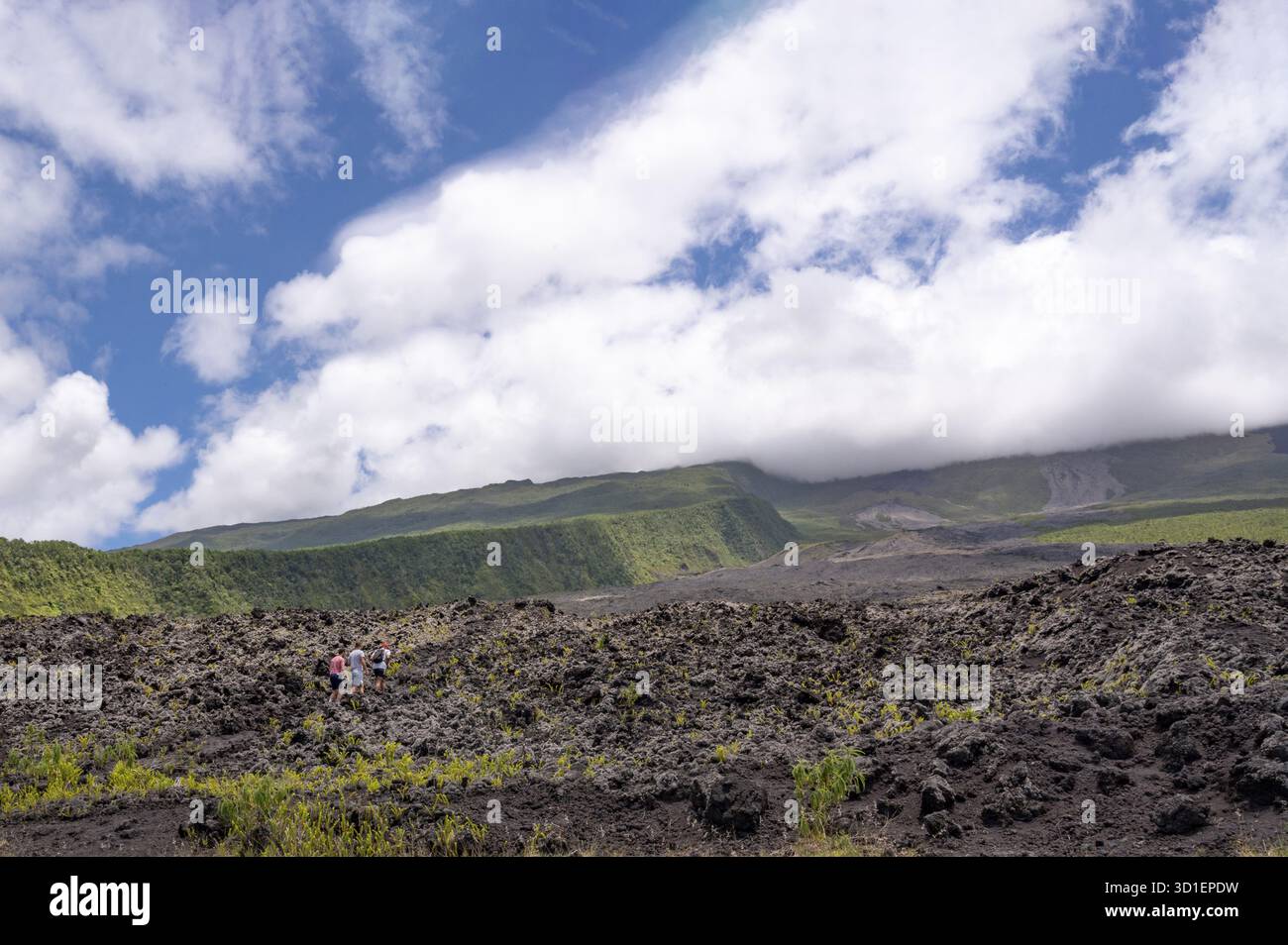 Un'estesa pianura lavica nera del Grand Brule sul Piton de la Fournaise lungo la Route des Laves con una nuova crescita di piante in primo piano Foto Stock