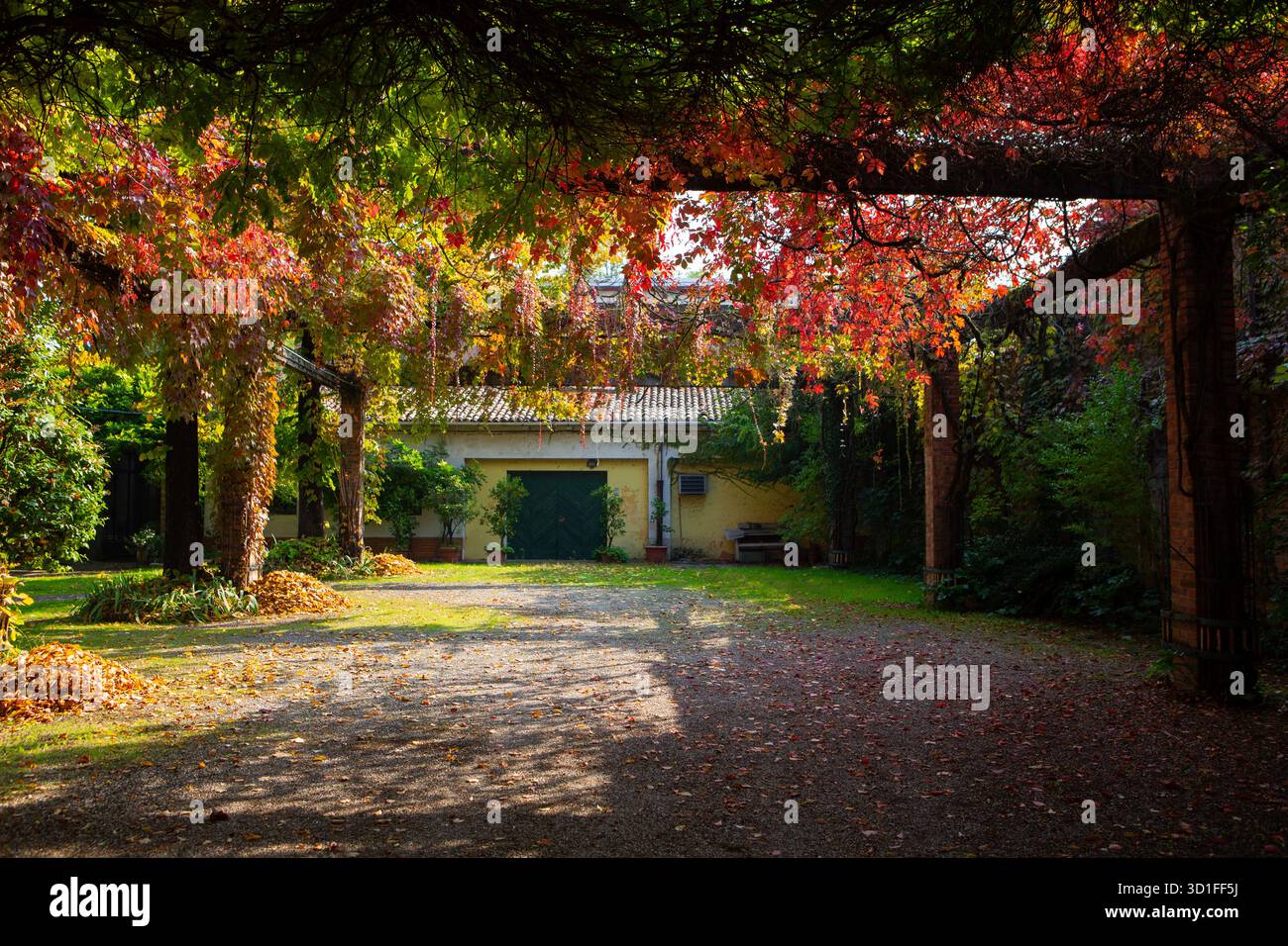 Cortile panoramico circondato da foglie rosse e dorate che creano una tranquilla atmosfera autunnale sotto la calda luce naturale del sole. Foto Stock
