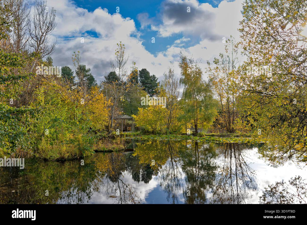 Piccola casa estiva e sedia accanto a uno stagno circondato da alberi in autunno Foto Stock