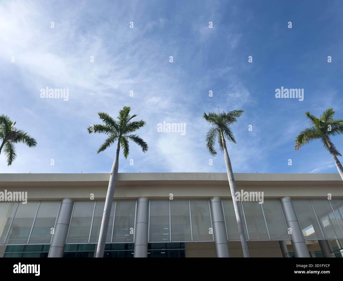 Alte palme si innalzano accanto a un edificio moderno sotto il cielo azzurro e limpido nelle giornate di sole, evidenziando un'atmosfera vibrante. Foto Stock