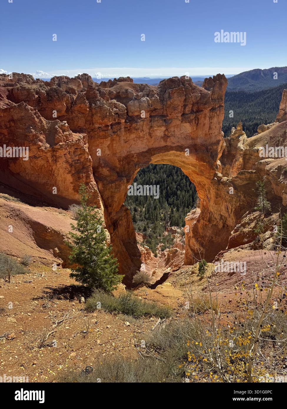 Primo piano di un imponente arco di roccia naturale nel Red Canyon, il Bryce Canyon National Park si trova nello Utah sud-occidentale negli Stati Uniti, Reddis Foto Stock