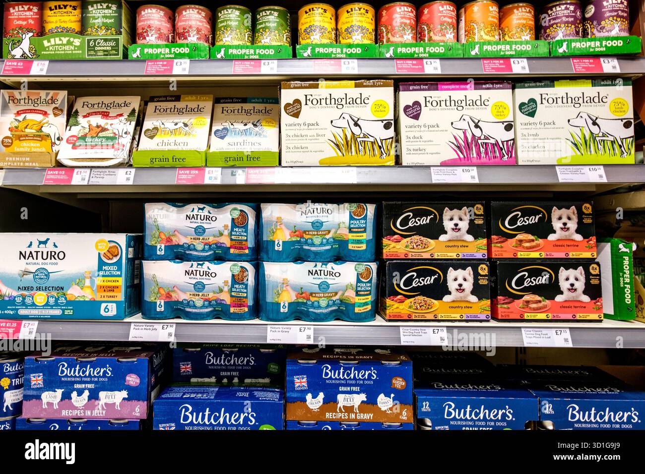 Londra Regno Unito, ottobre 28 2025, Selezione di popolari lattine e confezioni multiple di cibo per cani britannici Foto Stock
