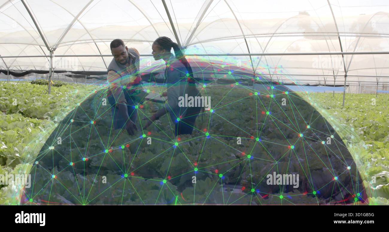 Due colleghi che si inginocchiano e toccano le piante di lattuga in serra, con sovrapposizione della rete digitale Foto Stock
